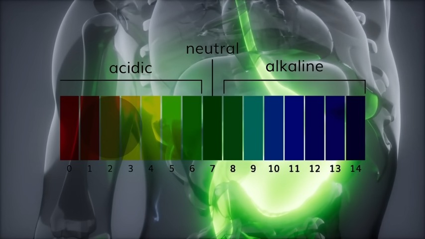 Causes of Low Stomach Acid